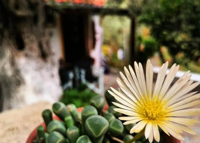 Vasilis' Kalivi Casa vacanze Moni Evaggelistrias