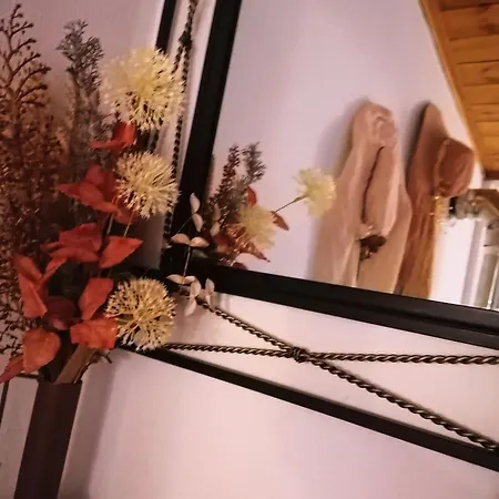 Vasilis' Kalivi Dom wakacyjny Moni Evaggelistrias